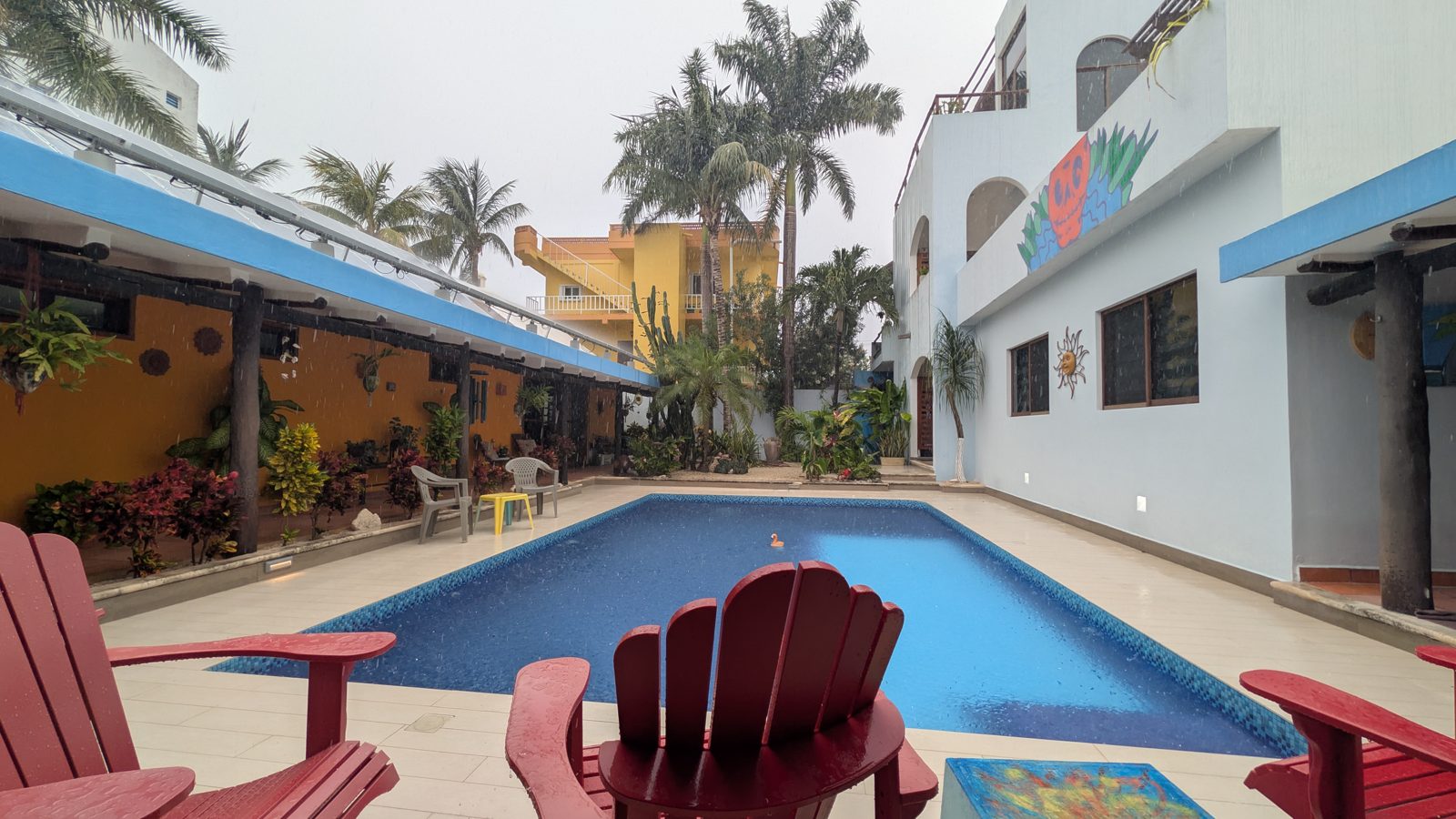 The pool and courtyard at Casa Agua Azul, framed by palms and yellow walls